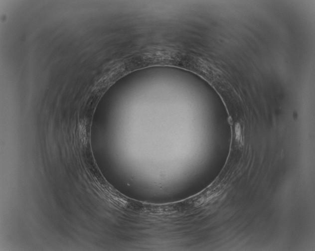 X0000062881203200601171438
