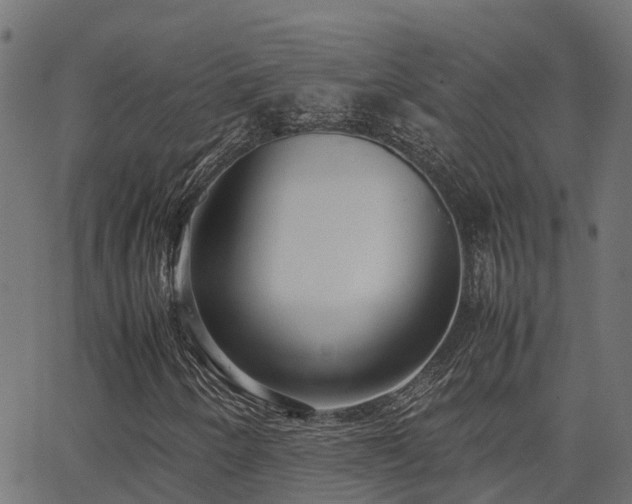 X0000062881250200601171438