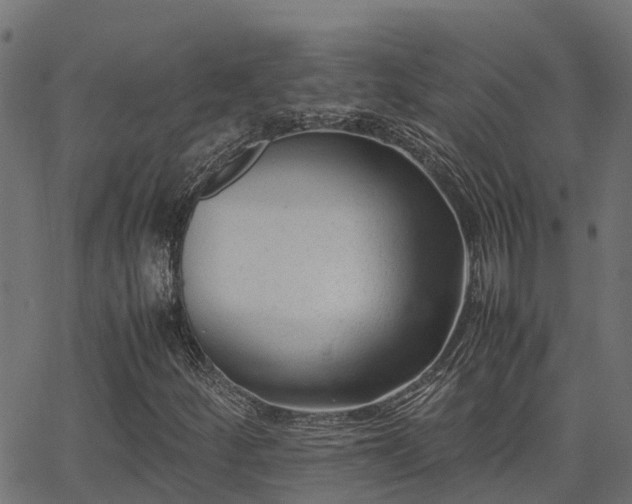 X0000062881252200601171438