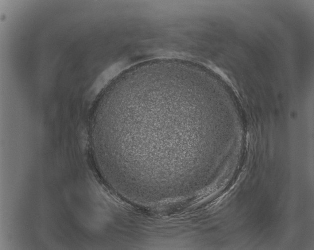 X0000062881263200601171438