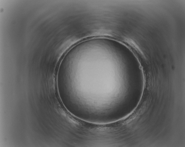 X0000062881268200601171438