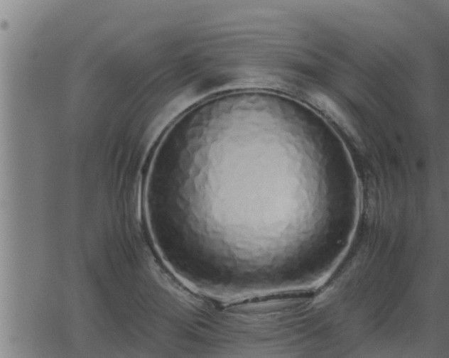 X0000062881276200601171438