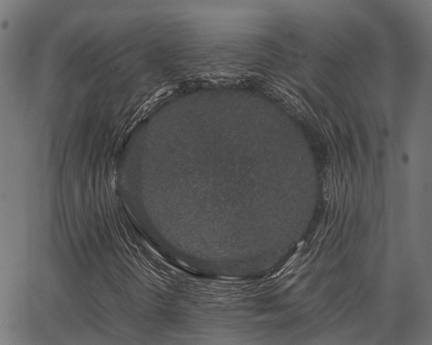 X0000062881298200601171437