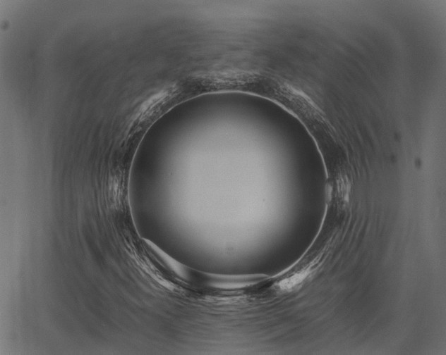X0000062881300200601171437