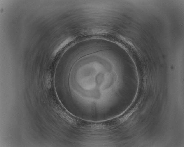 X0000062881306200601171437