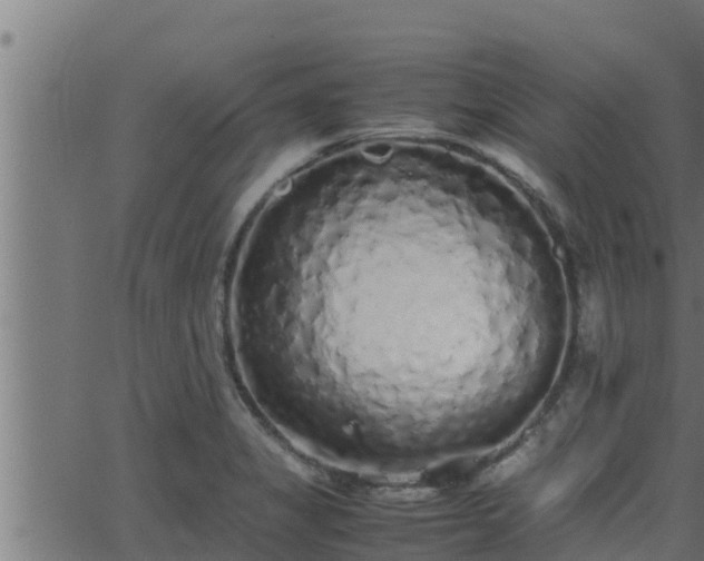 X0000062881325200601171437