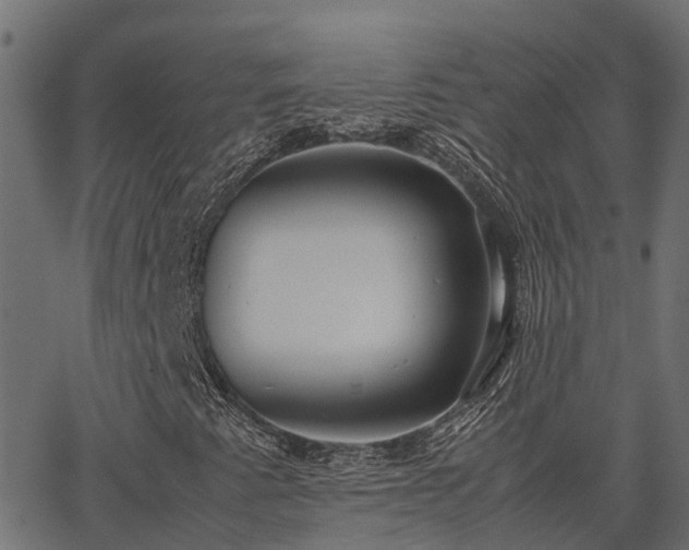 X0000062881345200601171437