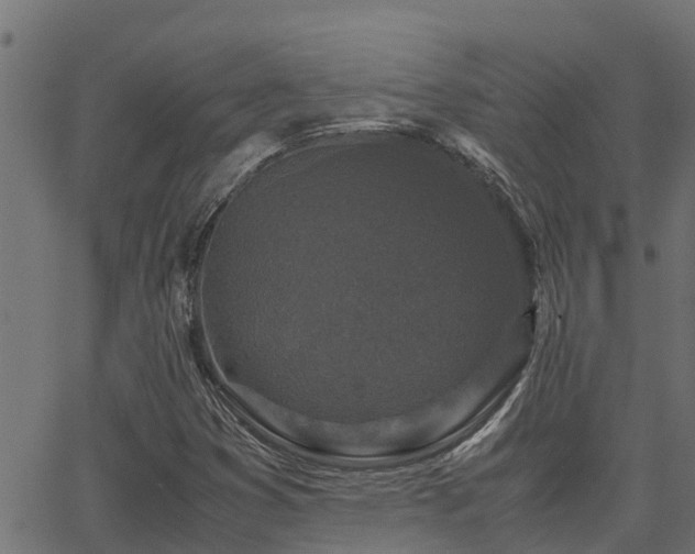 X0000062881353200601171437