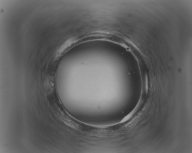 X0000062881355200601171436