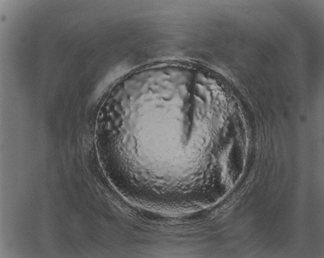 X0000062881359200601171436