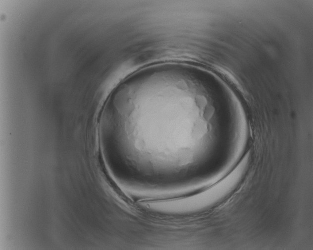 X0000062881371200601171436