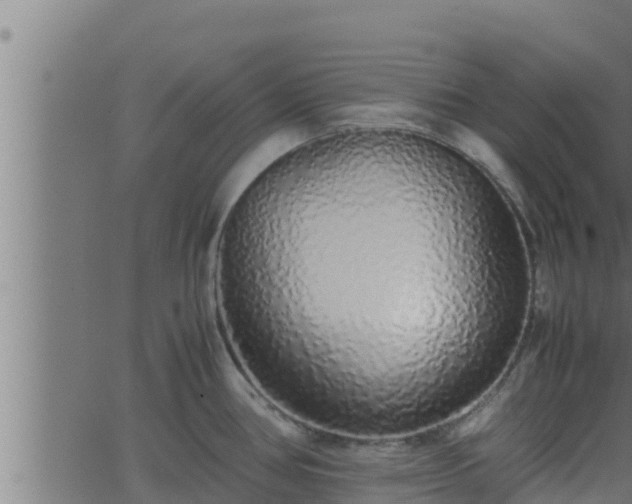 X0000062881386200601171436