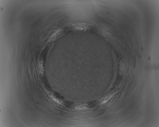 X0000062881394200601171435