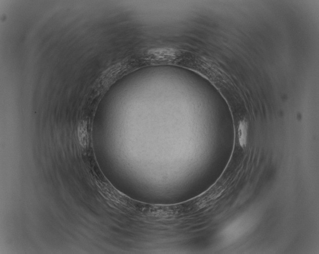 X0000062881395200601171435