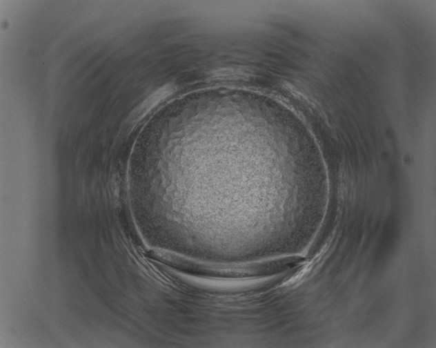 X0000062881401200601171435
