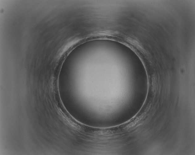 X0000062881404200601171435