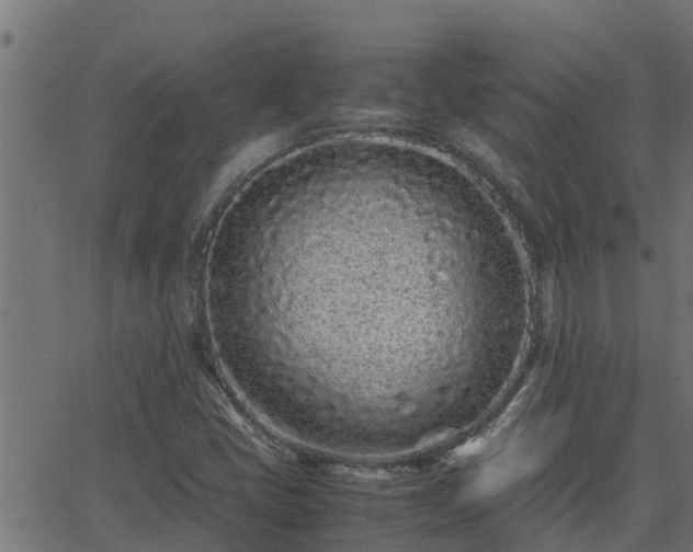 X0000062881405200601171435