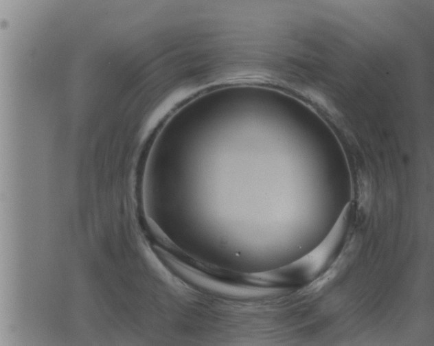 X0000062881422200601171436