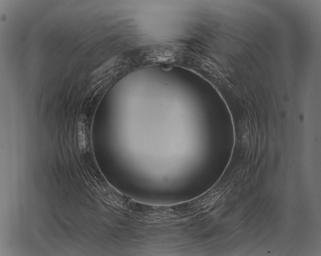 X0000062881442200601171435