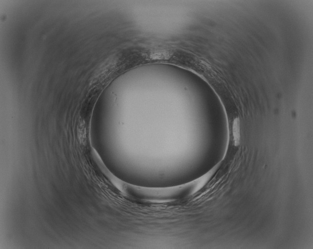 X0000062881443200601171435