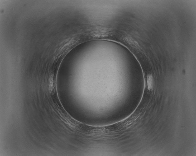 X0000062881444200601171435