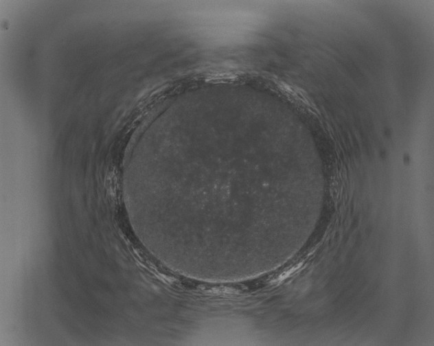 X0000062881445200601171435
