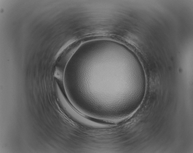 X0000062881450200601171435