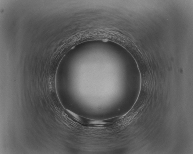 X0000062881490200601171433