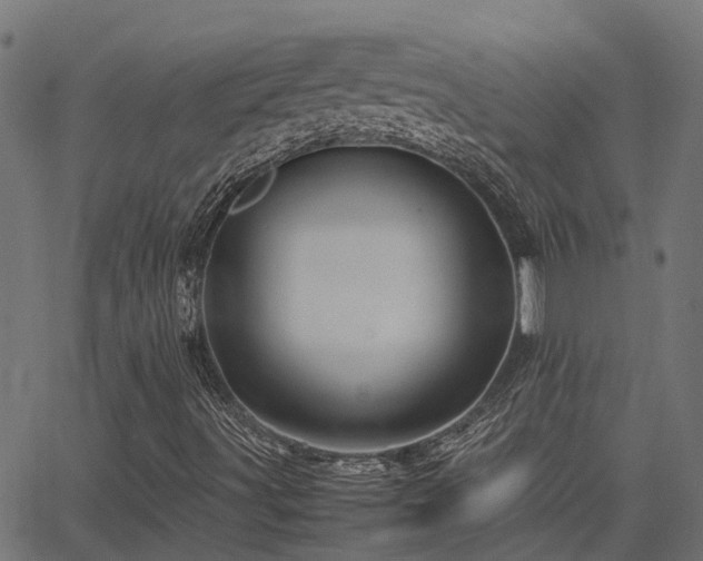 X0000062881491200601171433