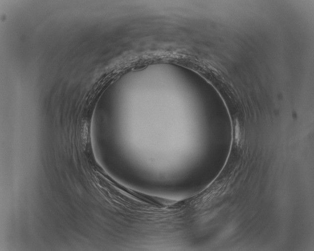 X0000062881492200601171433