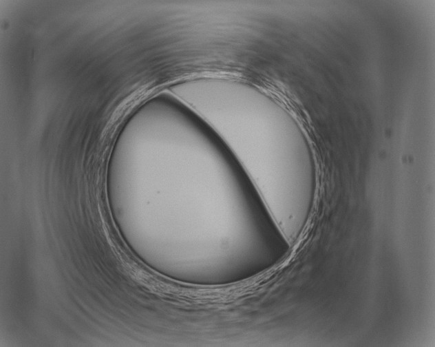 X0000062880001200601201832