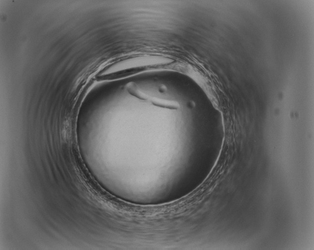 X0000062880002200601201831