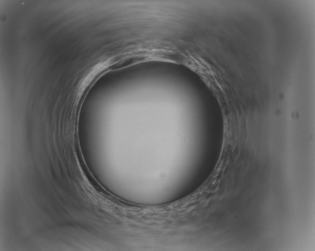 X0000062880003200601201831