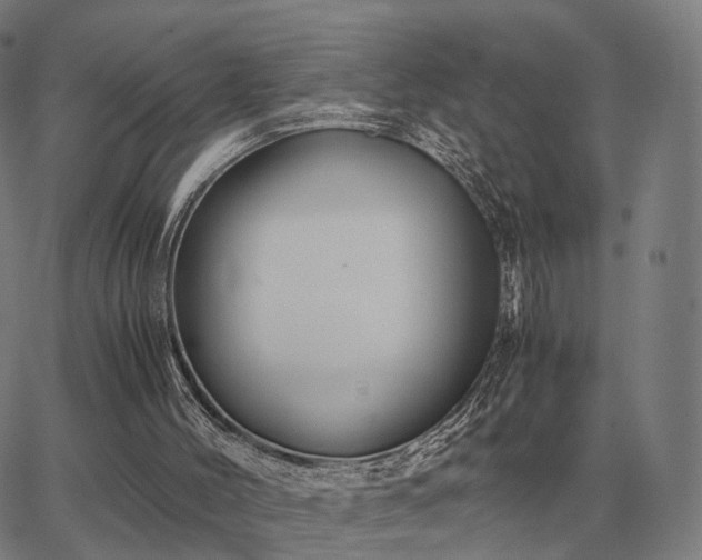 X0000062880004200601201831