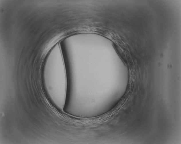 X0000062880005200601201831