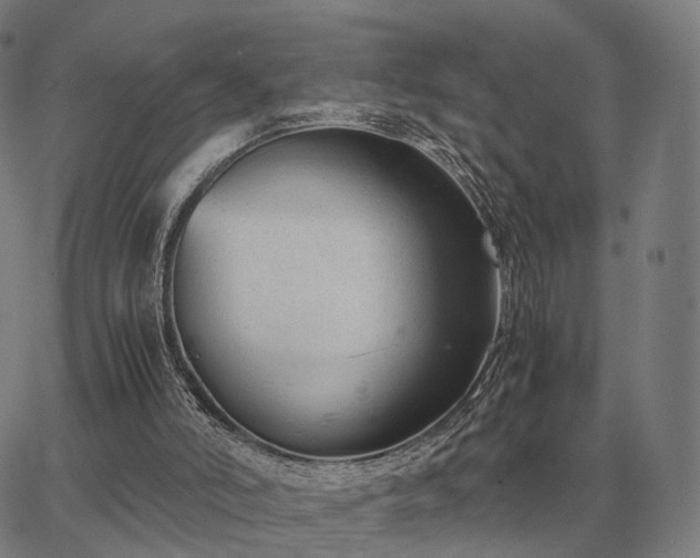 X0000062880006200601201831