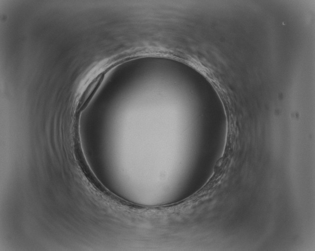 X0000062880007200601201831