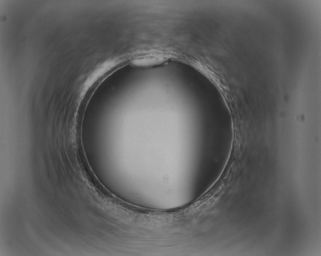 X0000062880008200601201831