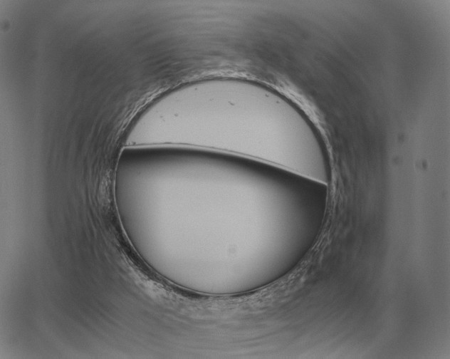 X0000062880009200601201831