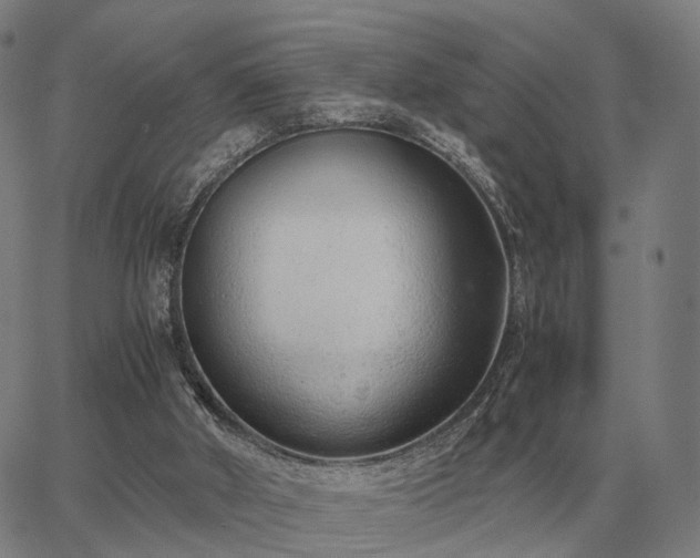 X0000062880010200601201831