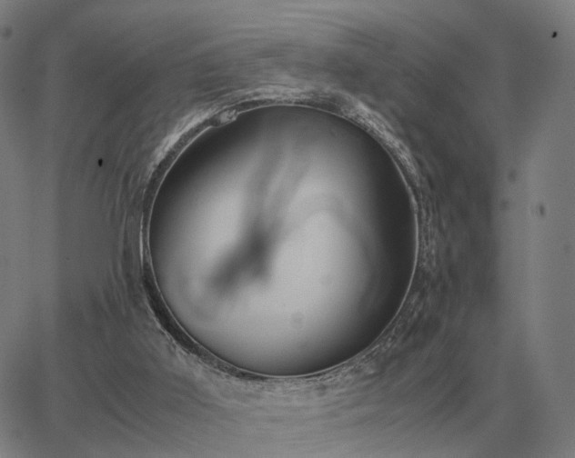 X0000062880011200601201831