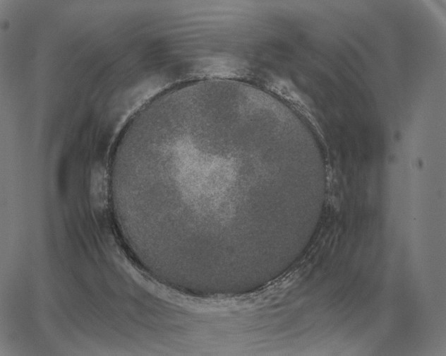 X0000062880012200601201831