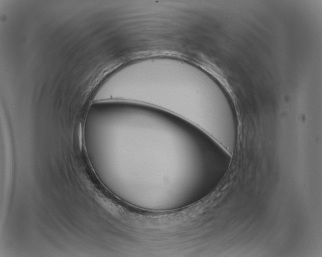 X0000062880013200601201831