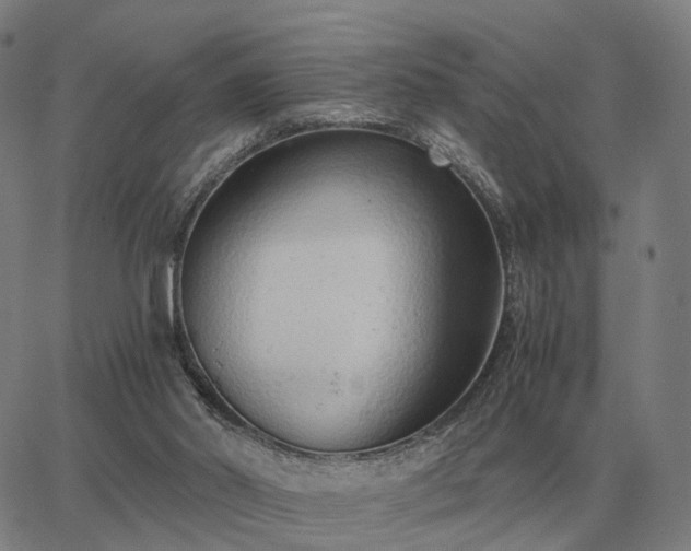 X0000062880014200601201831