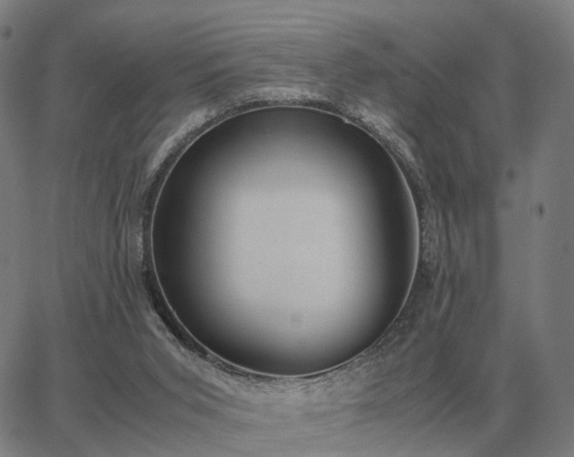 X0000062880015200601201831