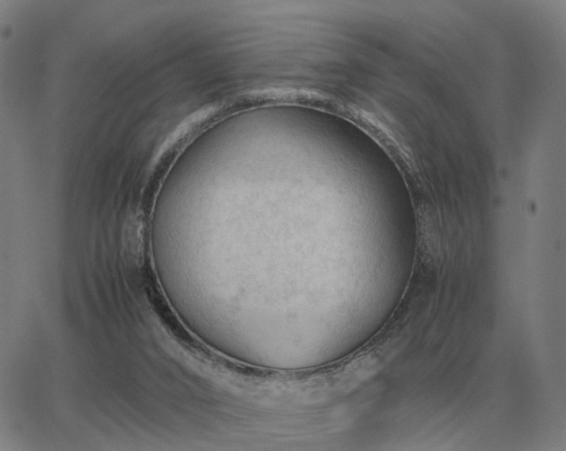 X0000062880016200601201831