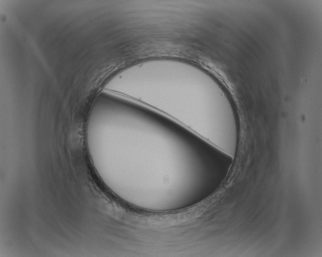 X0000062880017200601201831