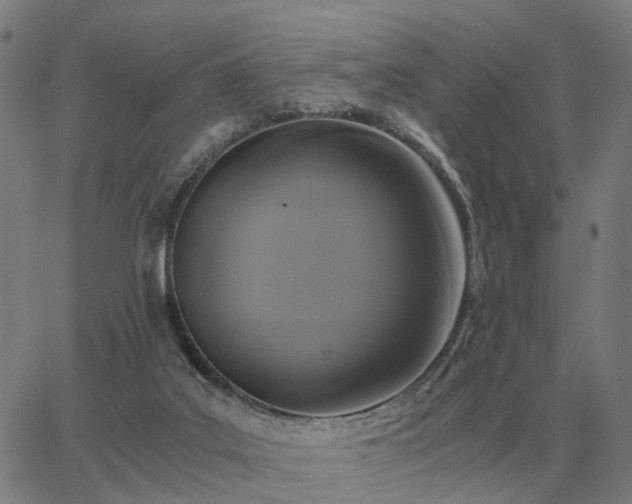 X0000062880019200601201831