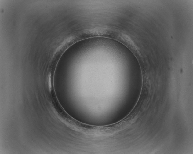 X0000062880020200601201831