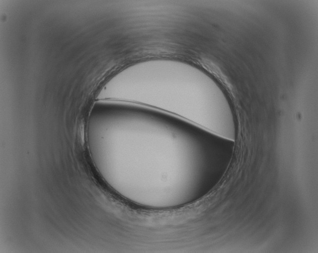 X0000062880021200601201831